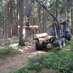 Forstmaschine hebt Baumstamm ohne Rinde zum Transport auf