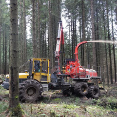 Gelb-rote Forstmaschine im Wald
