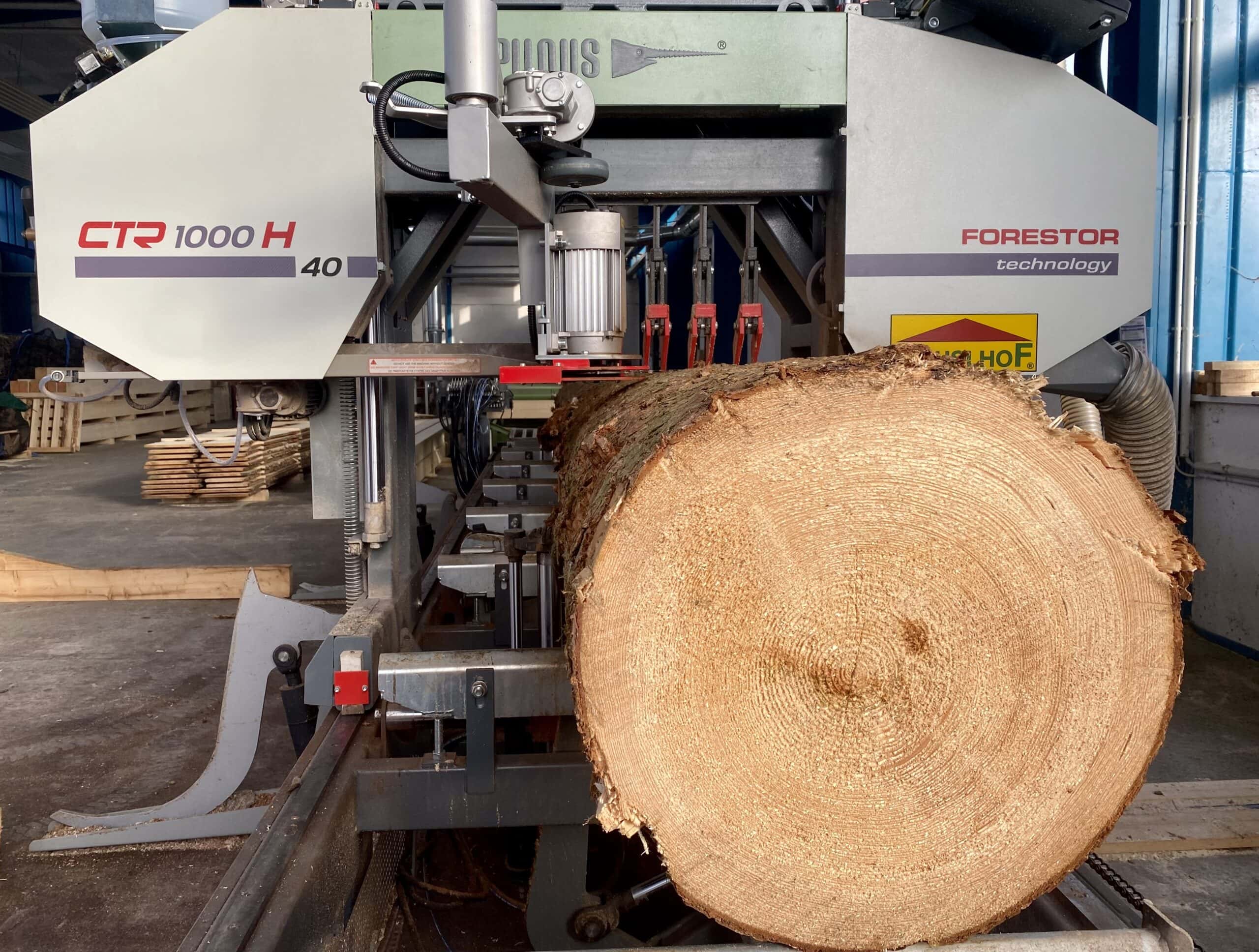 Foto eines Baumstamms in der Sägemaschine